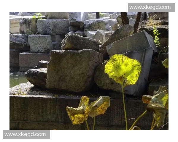 揪心！41岁伍兹前女友严重摔伤 直升机出动救援 4战冬奥悲情谢幕